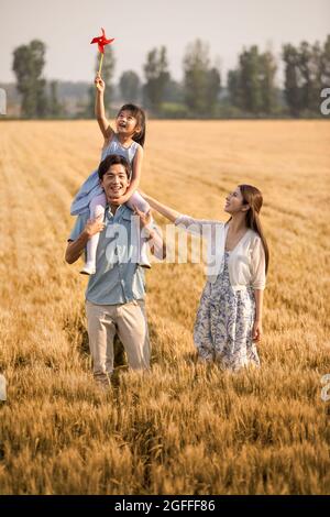 Glückliche junge Familie, die Spaß im Weizenfeld hat Stockfoto