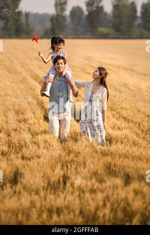 Glückliche junge Familie, die Spaß im Weizenfeld hat Stockfoto