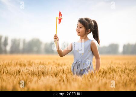 Kleines Mädchen spielt mit Papierwindmühle im Weizenfeld Stockfoto