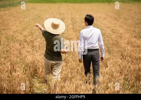 Bauer im Gespräch mit Geschäftsmann im Weizenfeld Stockfoto