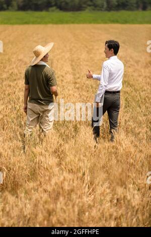 Landwirt treffen Geschäftsmann im Weizenfeld Stockfoto