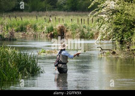 Ein Mann in Brustwarze steht im Fluss Avon, Wiltshire Fliegenfischen für Bachforelle Stockfoto