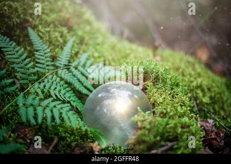 Mystisch und magisch magisch, fantastisch glühender Kristallball für Rituale im Wald auf dem Moos mit einem Farn. Stockfoto