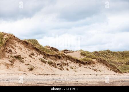 Sanddünen am Aberdyfi Strand Gwynedd North Wales Großbritannien Stockfoto