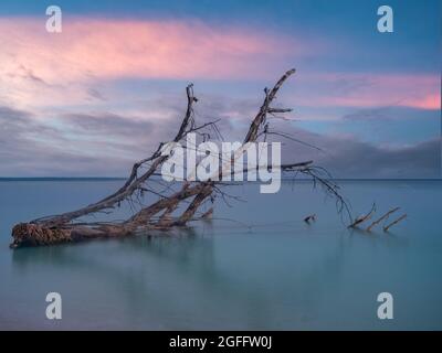 Schöner tropischer Strand auf der kleinen Insel während des Sonnenuntergangs, Venu Insel, Pulau Venu, in der Nähe von Kaimana, West Papua, Indonesien Stockfoto