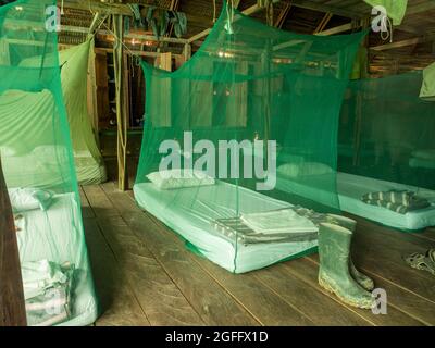 Einfache Unterkunft unter Moskitonetzen im Regenwald Amazonas. Amazonien. Lateinamerika. Stockfoto