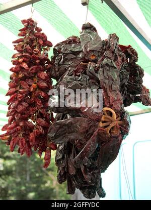 Getrocknete Chilis und Paprika, Markt, Nerja, Provinz Malaga, Andalusien, Spanien Stockfoto