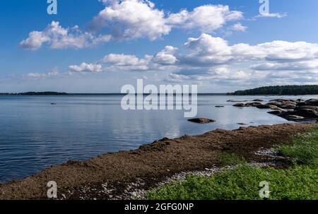 Idyllische Küstenlandschaft an der Baltici-See im Norden Estlands im Laheema-Nationalpark Stockfoto