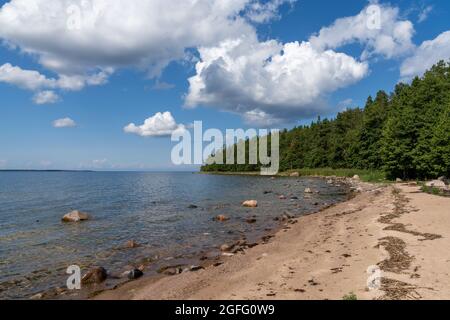 Idyllische Küstenlandschaft an der Baltici-See im Norden Estlands im Laheema-Nationalpark Stockfoto