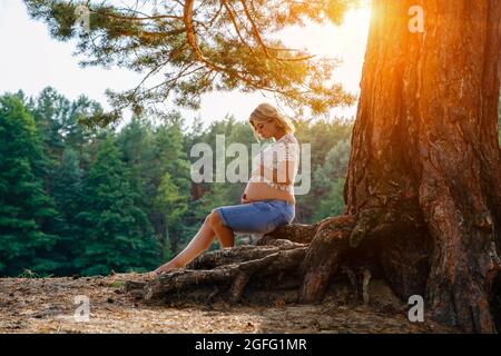 Die junge Schwangere sitzt auf den Wurzeln unter einem Baum im Wald Stockfoto