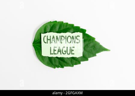 Inspiration zeigt Zeichen Champions League. Geschäftsübersicht Jährlicher Fußball-Wettbewerb aus jedem Land in Europa Umweltschutz Ideen und Stockfoto