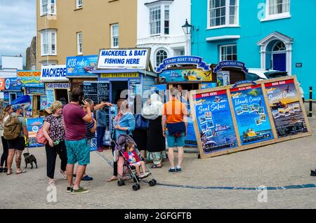 Urlauber stöbern auf farbenfrohen Werbetafeln im Hafengebiet von Tenby, Wales, durch die Angebote von Bootstouren und Angeltouren. Stockfoto