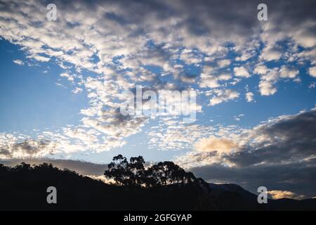 Wolkenformation bei Sonnenuntergang, die in der Dämmerung eine V-Form über den Himmel schafft, mit Eukalyptusbäumen und Bergsilhouetten im Vorgarten, aufgenommen im Winter i Stockfoto