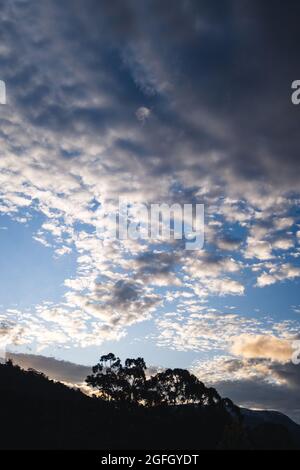 Wolkenformation bei Sonnenuntergang, die in der Dämmerung eine V-Form über den Himmel schafft, mit Eukalyptusbäumen und Bergsilhouetten im Vorgarten, aufgenommen im Winter i Stockfoto