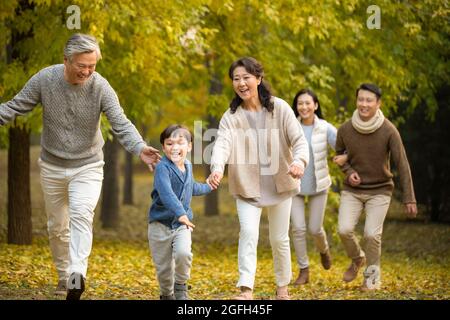 Glückliche Familie, die Spaß im Wald hat Stockfoto