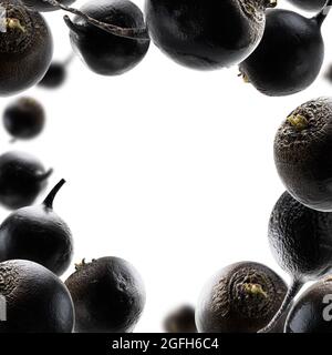 Schwarze Rüben schweben auf weißem Hintergrund Stockfoto