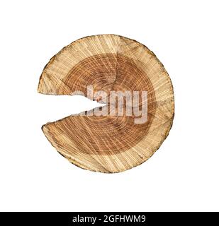 Holzstumpf isoliert auf weißem Hintergrund. Mit Beschneidungspfad Stockfoto