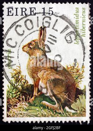 IRLAND - UM 1980: Eine in Irland gedruckte Briefmarke zeigt Irish Mountain Hare, Lepus Timidus Hibernicus, um 1980 Stockfoto