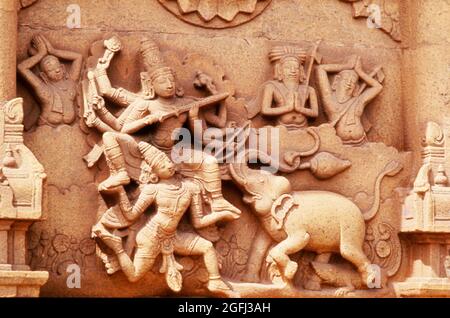 Indien: Tirukkurunkudi. Nambiraja Tempel 16.-17. Jahrhundert A.D. Relief an gopuram Basis-Gajendra moksha. Stockfoto