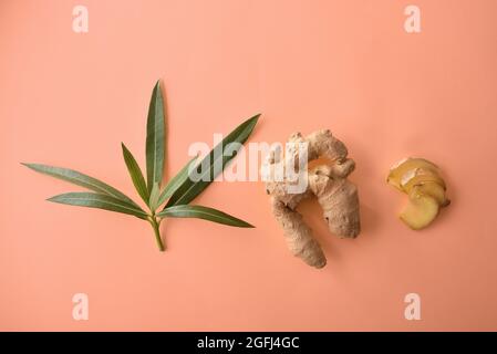 Zusammensetzung mit Ingwerwurzelblättern und geschnittenen Portionen auf orangefarbenem Hintergrund. Draufsicht Stockfoto