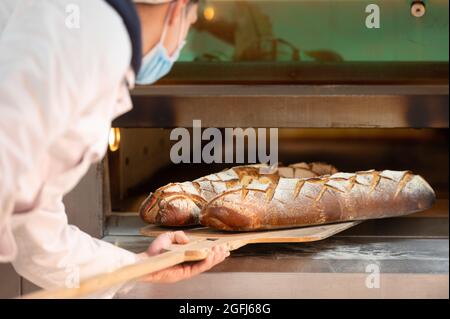 Super U Supermarkt : jemand, der Brot Baker nimmt Bauernbrot aus dem Ofen Stockfoto