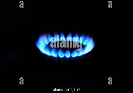 Nahaufnahme von blauem Erdgas-Feuer, Herdbrenner, Gasbrennerbeleuchtung. Stockfoto