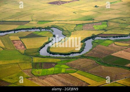 BAC Son Valley Reisfeld in der Erntezeit, Provinz lang Son, Vietnam Stockfoto