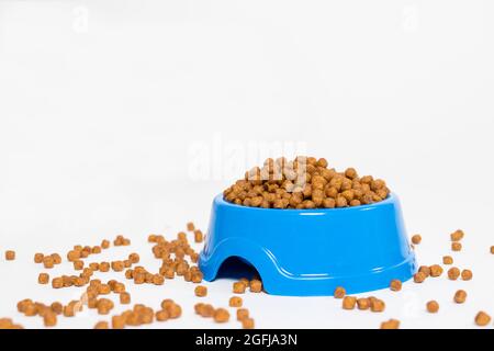 Blaue Futterplatte für Tierfutter auf weißem Hintergrund isoliert mit Platz für Text für den Tierladen. Das Essen ist auf dem Tisch verstreut. Stockfoto