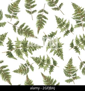 Aquarell Blätter von Farnen. Nahtloses Muster mit handbemalten Waldpflanzen. Isoliertes Blumenset. Stockfoto