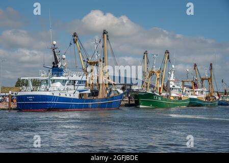 Oudeschild, Texel, Niederlande. 13. August 2021. Der Hafen von Oudeschild auf der Insel Texel. Hochwertige Fotos Stockfoto