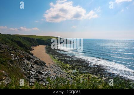 Der South-West Coast Path oberhalb des Porthbeor Beach auf der Halbinsel Roseland, Cornwall, Großbritannien Stockfoto