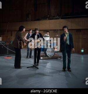 The Hollies, britische Rock-Pop Gruppe, Eric Haydock, Allan Clark, Graham Nash, Bobby Elliot, Tony Hicks, bei einem Auftritt um 1965. The Hollies, British Rock Pop Band, Performance um 1965. Stockfoto