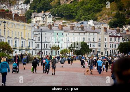 Llandudno Küstenstadt in Nord-Wales, Promenade Stockfoto