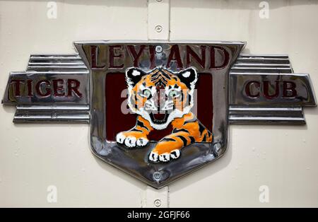 Alpine Travel of Llandudno Leyland Tiger Cub-Duple Britannia Coach Great Orme Tour. Dieses Fahrzeug war neu Spencer Tours of Manchester Stockfoto