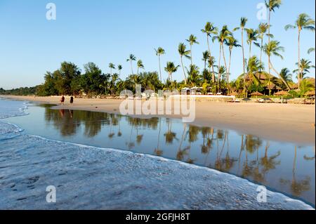 Myanmar. Ngapali. Arakan. Bengal Golfplatz. Der Strand ist von Kokospalmen gesäumt Stockfoto