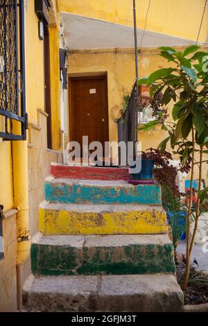 Junge Katzen auf der bunten Treppe in Sizilien Stockfoto