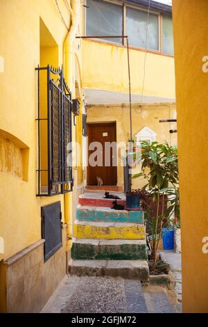 Junge Katzen auf der bunten Treppe in Sizilien Stockfoto