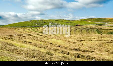 Mit einem Massey Ferguson Traktor bei Malham Moor im August 2021 große Ballen machen und den Konturen folgen Stockfoto