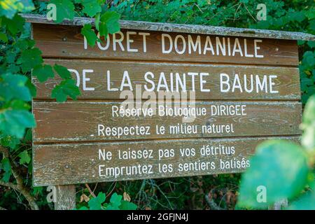 Forêt Domaniale De La Sainte Baume Var Frankreich 83 Stockfoto