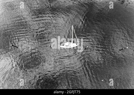 Einfarbiger Schiffswrack in der Marina des kleinen Fischerdorfes Brooklyn am Hawkesbury River im Großraum Sydney, Australien. Kontrastreiche BW-Antenne oben d Stockfoto