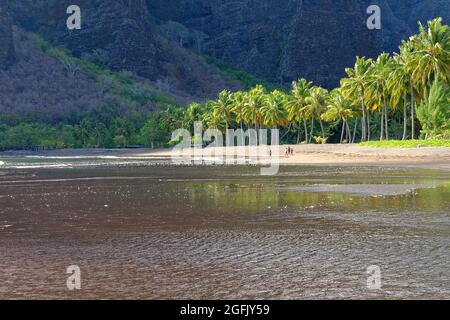 Marquesas-Inseln, Französisch-Polynesien, Nuku Hiva: Überblick über den Strand und die Bucht von Hakaui Stockfoto