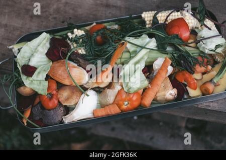 Frische Küchenreste in der Mülltonne. Nachhaltig und ohne Verschwendung. Hochwertige Fotos Stockfoto