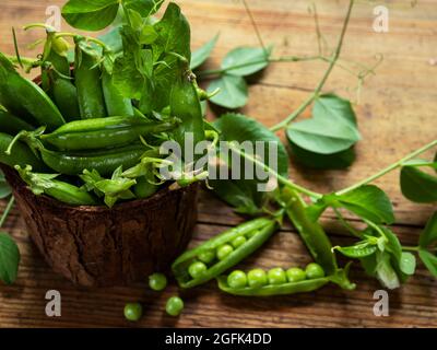 Frische grüne Erbsen und grüne Erbsen mit Sprossen. Gesunde Ernährung Stockfoto