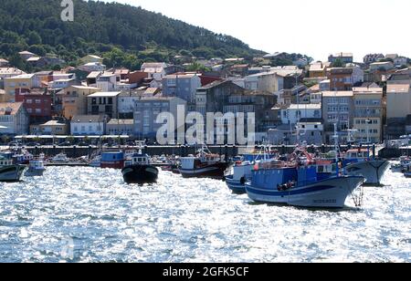 Hafen und Stadt Finisterre, A Coruña, Galicien, Spanien, Europa Stockfoto