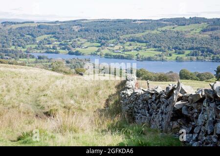 Coniston Wasser von oben gesehen Bleathwaite Weide Coniston Lake District Cumbria England Stockfoto