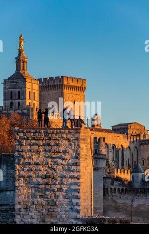 FRANKREICH, VAUCLUSE (84) AVIGNON. DER PALAST DER PÄPSTE Stockfoto