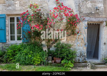 FRANKREICH, LUBERON, VAUCLUSE, 84, OPPEDE-LE-VIEUX, SCHÖNES KLEINES DORF AUF EINEM FELSIGEN AUSBISS ÜBERWUCHERT VEGETATION MIT EINER HERRLICHEN KULISSE GEBAUT, EIN Stockfoto