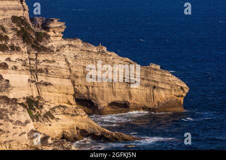 FRANKREICH, CORSE DU SUD (2A) REGION EXTREME SUD, BONIFACIO Stockfoto