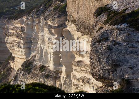 FRANKREICH, CORSE DU SUD (2A) REGION EXTREME SUD, BONIFACIO Stockfoto