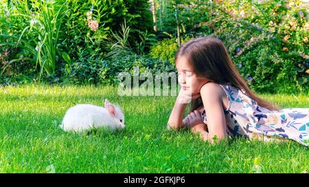 Ein dekorativer Zwergkaninchen frisst Gras auf dem Rasen im Garten. Das Mädchen liegt auf dem Rasen und spielt mit einem niedlichen weißen Hasen. Nagetier als Haustier. Chil Stockfoto